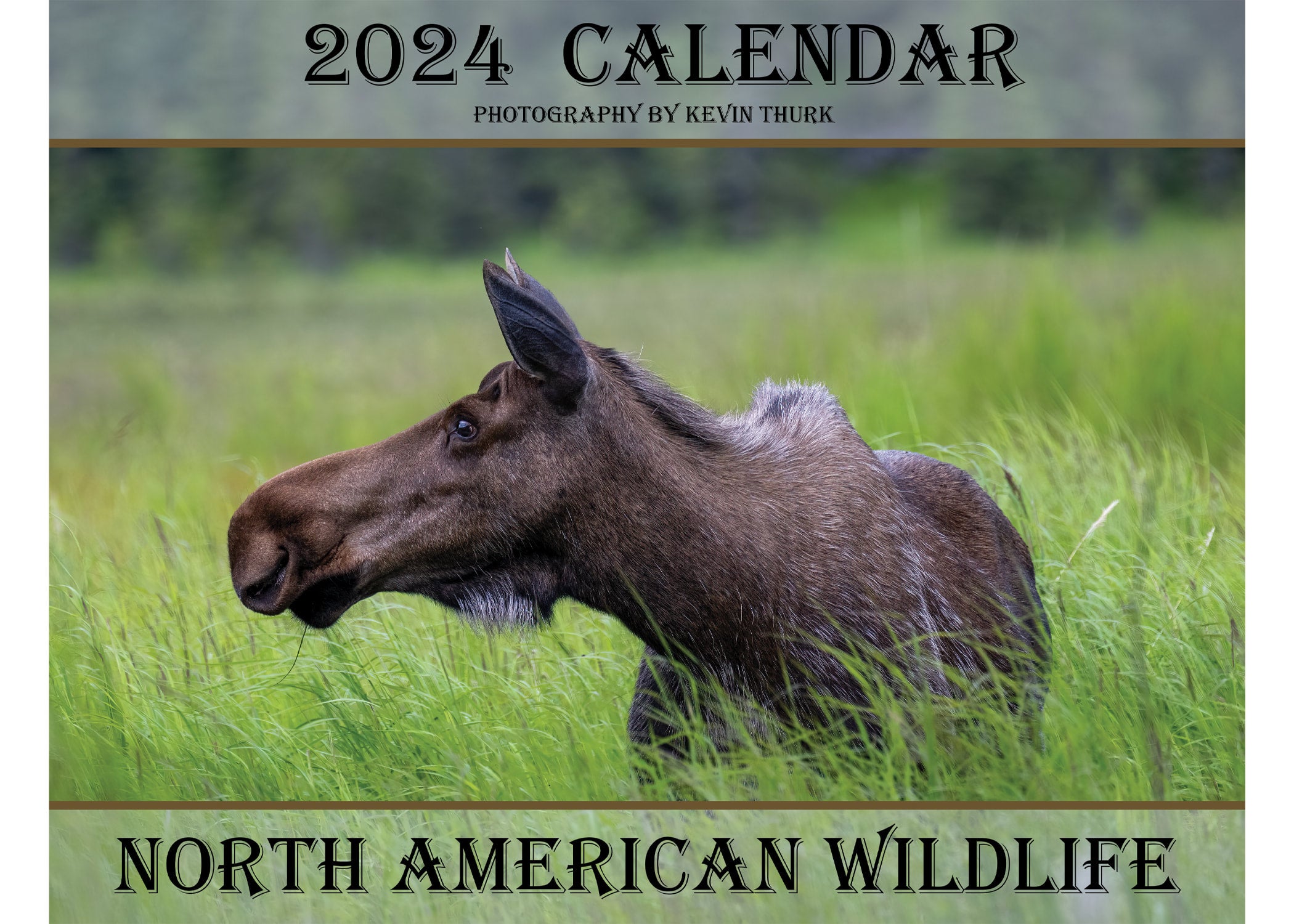 2024 North American Wildlife Calendar Kevin Thurk Photography